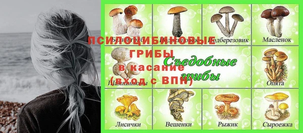 первитин Белоозёрский